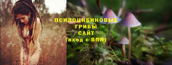 jwh Аркадак