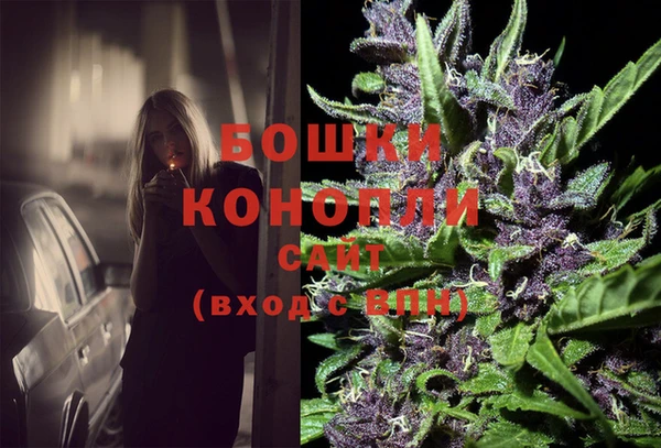 спиды Арсеньев