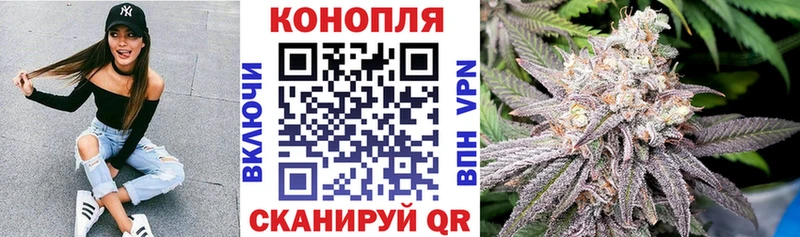 Купить Новоульяновск Канабис MAZAR